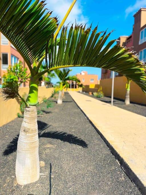 Apartamento Casa Bamboo Corralejo, Espacioso, Piscina Y Parking Bagian luar foto