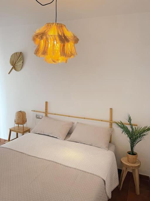 Apartamento Casa Bamboo Corralejo, Espacioso, Piscina Y Parking Bagian luar foto