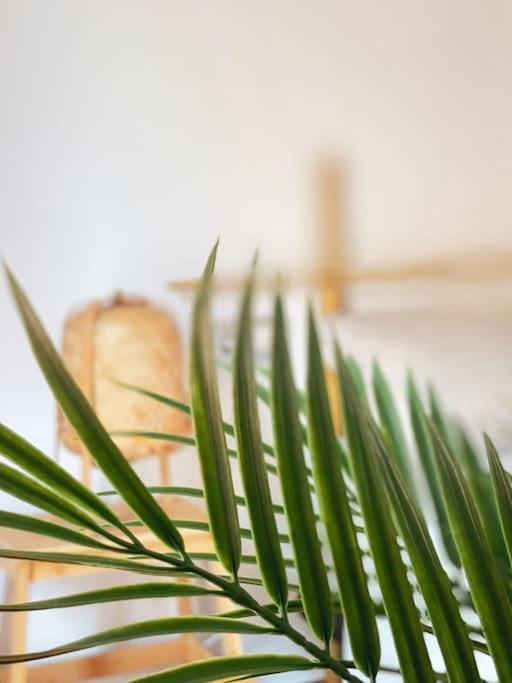 Apartamento Casa Bamboo Corralejo, Espacioso, Piscina Y Parking Bagian luar foto