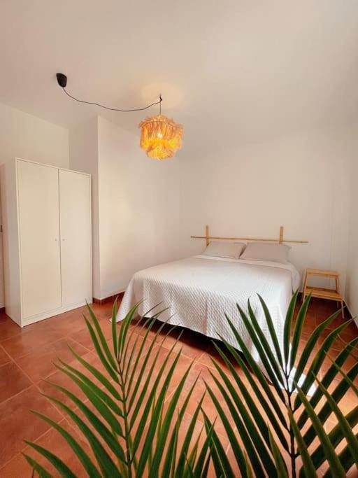 Apartamento Casa Bamboo Corralejo, Espacioso, Piscina Y Parking Bagian luar foto