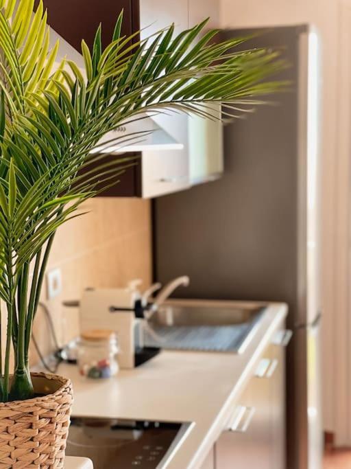 Apartamento Casa Bamboo Corralejo, Espacioso, Piscina Y Parking Bagian luar foto
